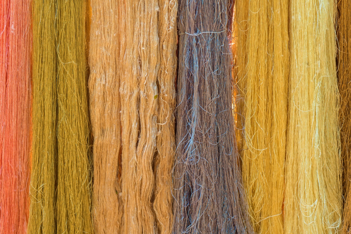 How We Save Silkworms by Using Vegan Silk