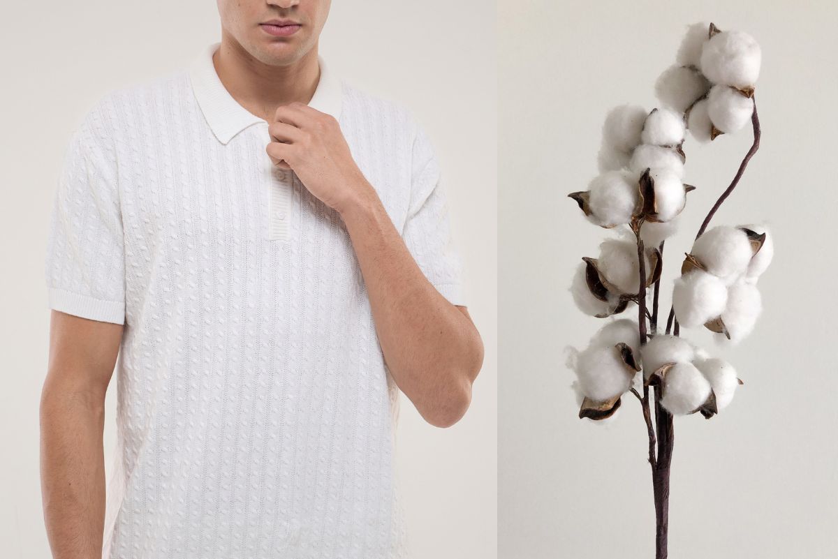 How to Choose an Organic Cotton Basics Brand