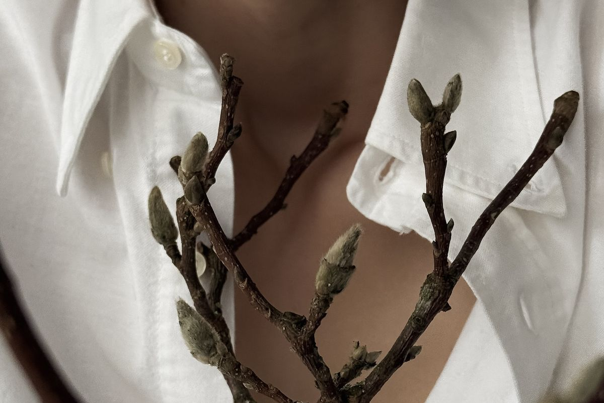 Is Viscose Fabric Sustainable or Not?