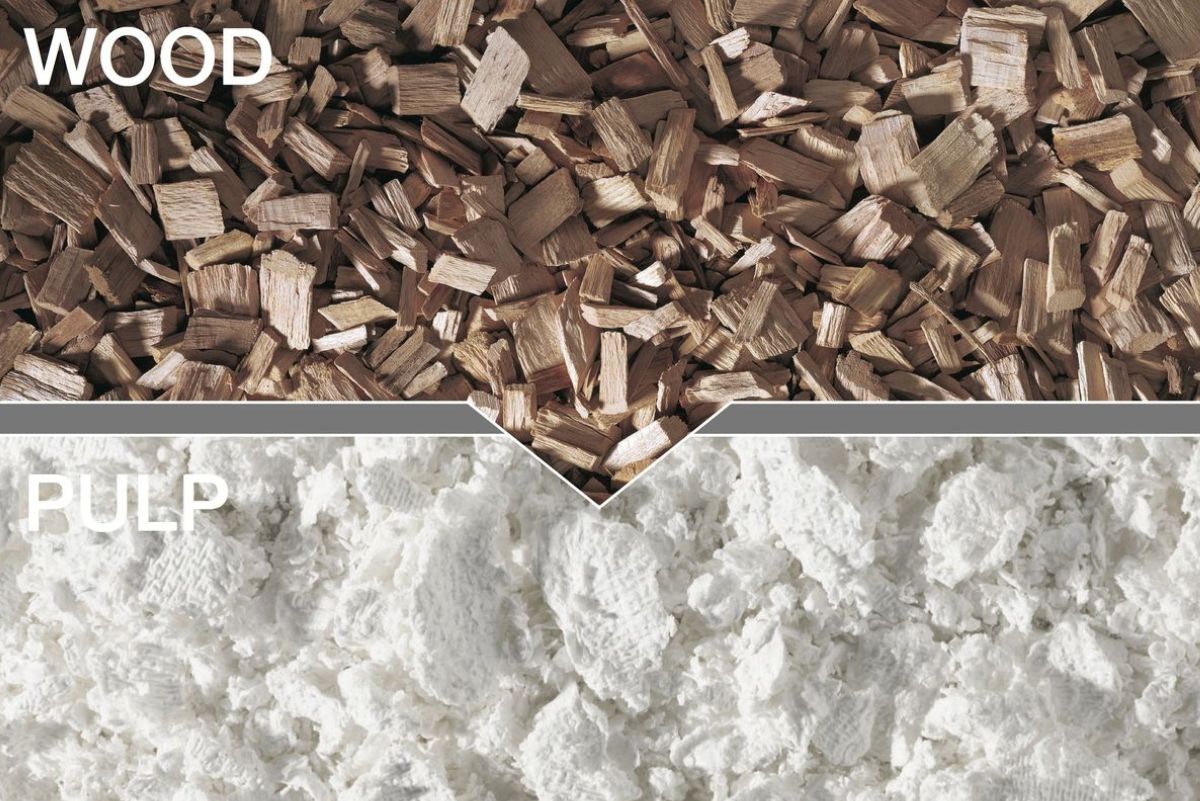 Is Viscose a Natural Fabric?